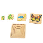 Puzzle of Butterfly Life Cycle - IFIT MONTESSORI BIOLOGY / ZOOLOGY MATERIALS