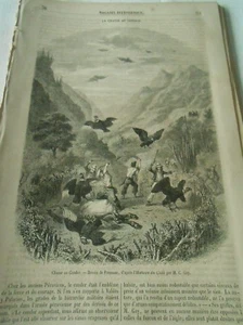 La Chasse au Condor 1857 Gravure Print Article - Picture 1 of 1