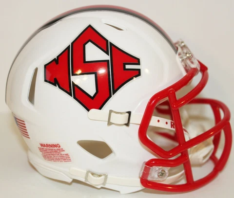 2016 NC State Wolfpack Diamond TB Logo Custom Riddell Mini Helmet vs Notre Dame Cover
