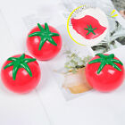 1Pcs Tomato Slow Rising Stress Rubber Stress Reliever Toy Decompression Ba HZ