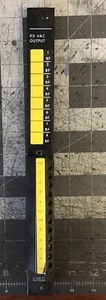 GE Fanuc IC600FP904K 115VAC Output Module Face Plates (LB02E) - Picture 1 of 5