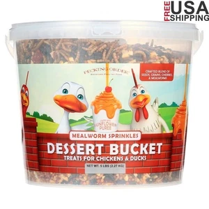 Cubo de postre de 5 lb brocas de gusano de la harina golosinas aves pollo patos fácil de llevar nuevo - Imagen 1 de 7