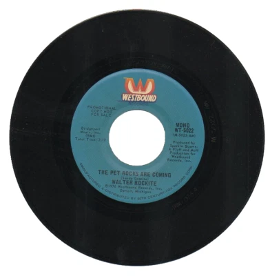 WALTER ROCKITE  45 RPM Promo Record THE PET ROCKS ARE COMING  Never Played MINT! - Image 1 of 2