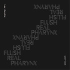 Lee Gamble Flush Real Pharynx 2019-2021 (CD) Album