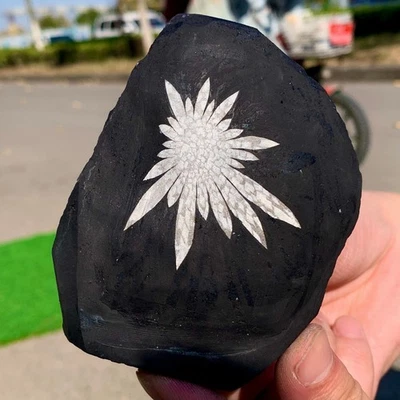 316G Natural Chrysanthemum Stone Quartz Carving Halo Treatment Gift - Image 1 of 4