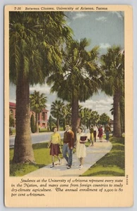 Between Classes University of Arizona Tucson Students Postcard - Picture 1 of 2