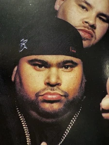 2001 BIG PUN ENDANGERED SPECIES CASSETTE  FAT JOE TERROR SQUAD RAP HIP HOP - Bild 1 von 6