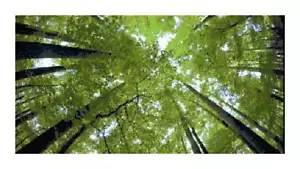 Fotografia albero fatta a mano natura contata modello punto croce tabella punti ago - Foto 1 di 1