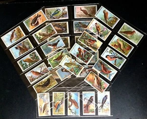 British Birds Cigarette Cards X 35 Of 50 Antique 1915 Wills Bristol London - Picture 1 of 12