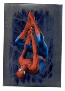 Image autocollant PANINI SPIDERMAN 2007 - N° 48 Brillante argenté - Bild 1 von 1