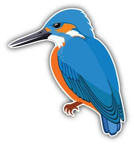 Eisvogel Vogel Autoaufkleber Aufkleber 5" x 5" - Bild 1 von 1