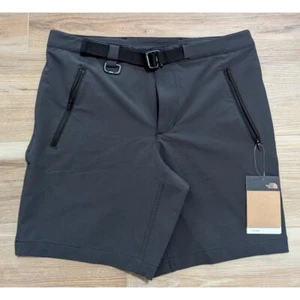 NWT The North Face Men's Paramount Pro Shorts in Asphalt Grey size Small Long - Picture 1 of 6