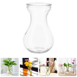 5 Stück Desktop-Glas-Pflanzgefäß, Hyazinthen-Glasvase, Pflanzen-Terrarium für - Bild 1 von 12
