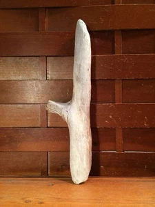 Bellissimo 12" DRIFTWOOD Pezzi Arte Terrario Tassidermia Acquario Spiaggia Legno DECORAZIONE - Foto 1 di 7