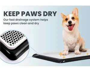 NIB! Dog Potty Tray/Puppy Pee Pad Holder 25”x20” Indoor Training Pet Awesome - Picture 1 of 5