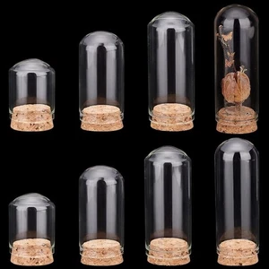 8pz Cloche Bell Barattolo 4 Misure Vetro Espositore Cupola con Base in Sughero Mini Bottiglia di Vetro - Foto 1 di 2