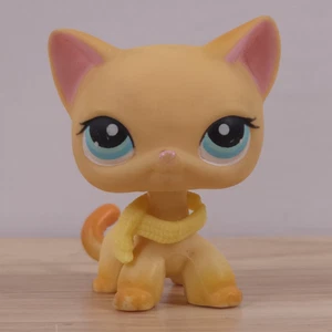 Hasbro LPS Popular Littlest Pet Shop Brooke Hayes orange Kurzhaarkatze #339 - Bild 1 von 9