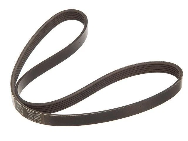 Cinturón Multi Rib 86SBSX31 para Honda Accord 2000 2001 2002 1998 1999 Foto 1 de 1