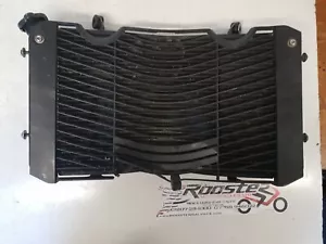 Yamaha Fz1 2007 Radiator - Picture 1 of 6