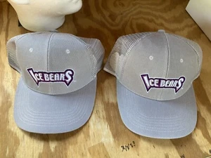 Tennessee Smokies MILB Grey Team Hats - Auction For Both - Picture 1 of 4