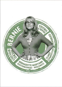 2016 The Big Bang Theory Seasons 6 and 7 Portraits Non-Sport Card #CP7 Wolowitz