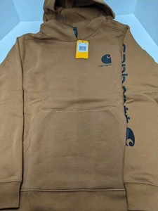 Carhartt Hoodie Boys L (14/16) Brown Long Sleeve Graphic Sweatshirt TS6272-B - Picture 1 of 6
