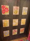 A Beautiful Framed Set of Tobacco 9 Cigarette Cards Kensitas Silk Flowers 1933/4