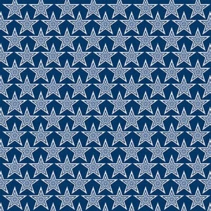 SILVER STARS - PATRIOTIC - GLITTER, Scrapbook Paper Reminisce TFC021 - Picture 1 of 2