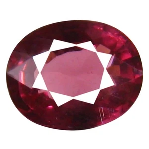 1.26 ct AAA+ Very good Oval Shape (7 x 6 mm) Pinkish Red Rhodolite Garnet - Imagen 1 de 1