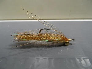 Polar Flash DNA Clouser Fly - Picture 1 of 5