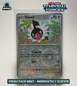 Chatot 132/162 Reverse Holo Pokémon TCG: Temporal Forces Card MINT SHIPPED TODAY - Picture 1 of 2