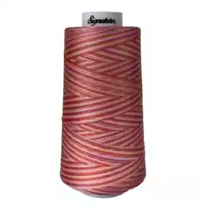 Signature Variegated 40 weight cotton thread 3000 yard cone- Cotton Candy - Picture 1 of 1