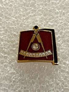 Shrine Past Master Fez Anstecknadel mit Stein (34 - Bild 1 von 1