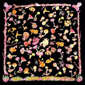 HERMES Silk Scarf Champignons Carre 90 Mushroom Black No Tags. - Picture 1 of 5