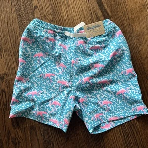 NWT Chubbies Little Boys Sz 6 Mini Mingos Swim Trunk - Match Dad and brothers! - Picture 1 of 3