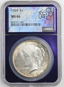 1924 Peace Silver Dollar – NGC MS66 – High Grade Gem - Picture 1 of 2