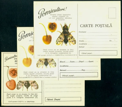 1961/1964/1972 Mosca de la fruta de cerezo/Rhagoletis cerasi, plaga agrícola, Rumania, tarjetas Foto 1 de 2
