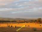 Photo 6x4 Round bales near Hardiston Cleish Evening sunlight. c2013
