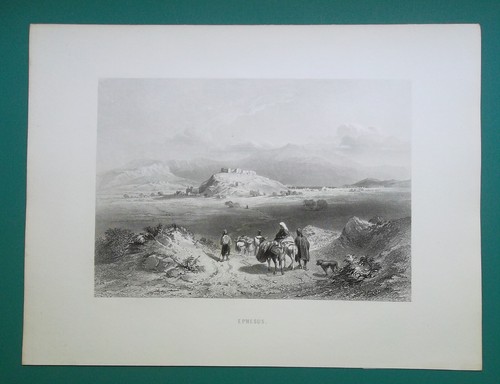 Bild 1 von 1