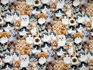 Cat Kitten Floral Garden Cotton Fabric 45in Wide for Sewing Craft Patchwork BTY - Picture 1 of 5