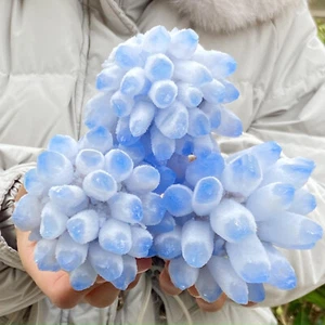 2.77LB Natural Blue Quartz Crystal Cluster Specimen Crystal Flowers Décor - Picture 1 of 12