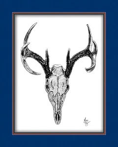 Whitetail Deer Buck Skull Wildlife Canvas Art Print Multi Border Matting Colors - Picture 1 of 14