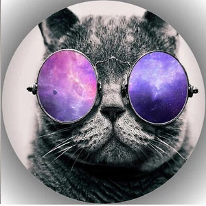 Ostia per torta compleanno festa immagine torta fondente - cialda gatti P3 - Foto 1 di 1