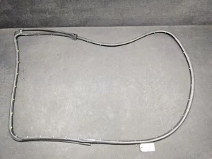 Rear Left Driver Door Weatherstrip 2019 Dodge RAM 1500 55112375AE 2015-2018 2020 - Picture 1 of 9