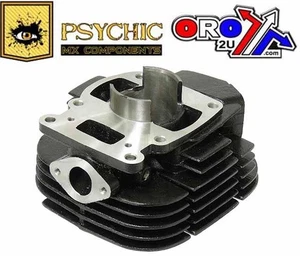 KIT CILINDRO SUZUKI TS125 78-79, 11210-48000 - Foto 1 di 1