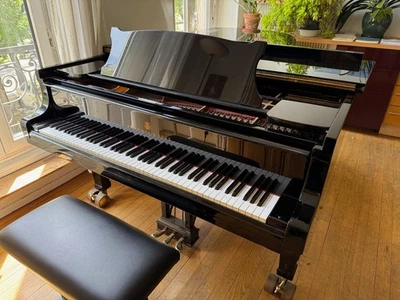 Piano de concert Steinway C-227 - Immagine 1 di 3