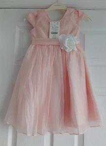 NEW MONSOON Party Perfect - Age 2 - 3 - Pale Pink Shimmer Corsage Dress - Picture 1 of 9