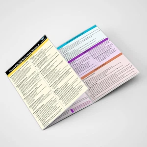 Privatpilot Sehr guter Erhaltungszustand mündliche Prüfung Spickzettel - Version A | Dreifach faltbares Nachschlagewerk... - Bild 1 von 12