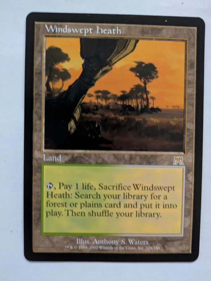 Windswept Heath Onslaught MTG NM Free shipping with tracking - Image 1 of 2