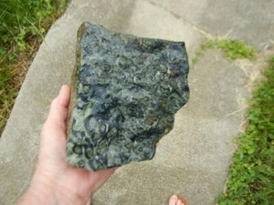 Kambaba diaspro roccia grezza coccodrillo cablaggio/esposizione Madagascar 5 libbre 13,40 once - Foto 1 di 6